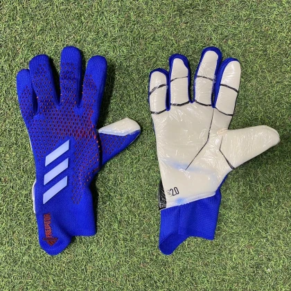 Вратарские перчатки Adidas Predator 20 Pro blue